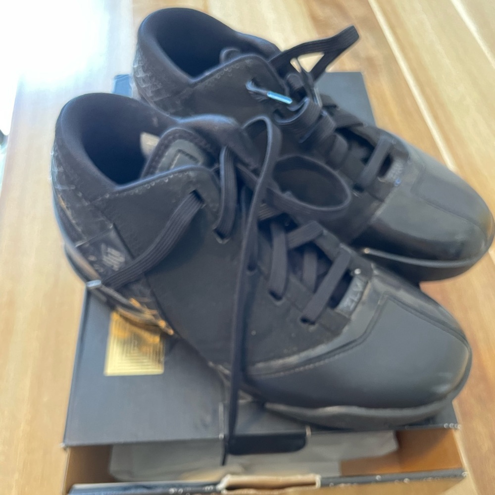 Nike Lebron Basketball shoes